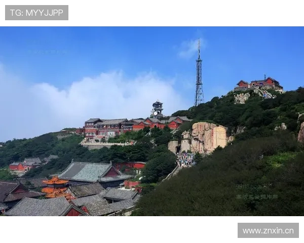 山东泰山豪门地位：当前竞争格局与稳定性面临考验