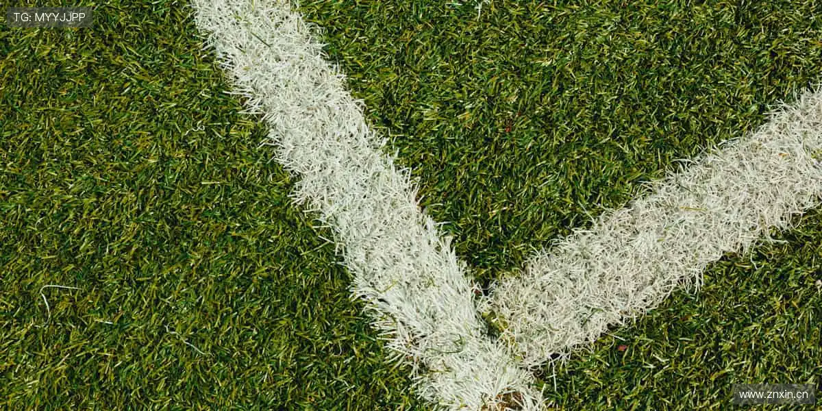 🏆赛事直击，热血沸腾！每一场较量都是心跳的证明！